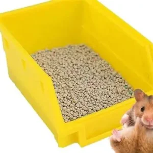lót chuồng cho chuột