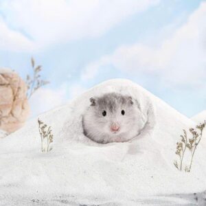 cát tắm + vệ sinh