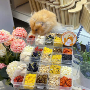 set 10 vị buffet bầu bí cho hamster