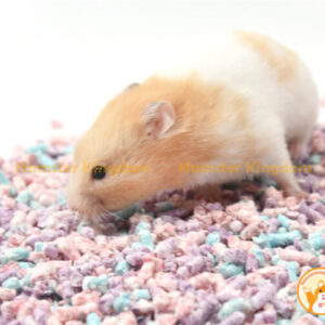 viên giấy nén lót chuồng bucatstate 100g